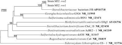 Arsenite Oxidation by a Newly Isolated Betaproteobacterium Possessing arx Genes and Diversity of the arx Gene Cluster in Bacterial Genomes